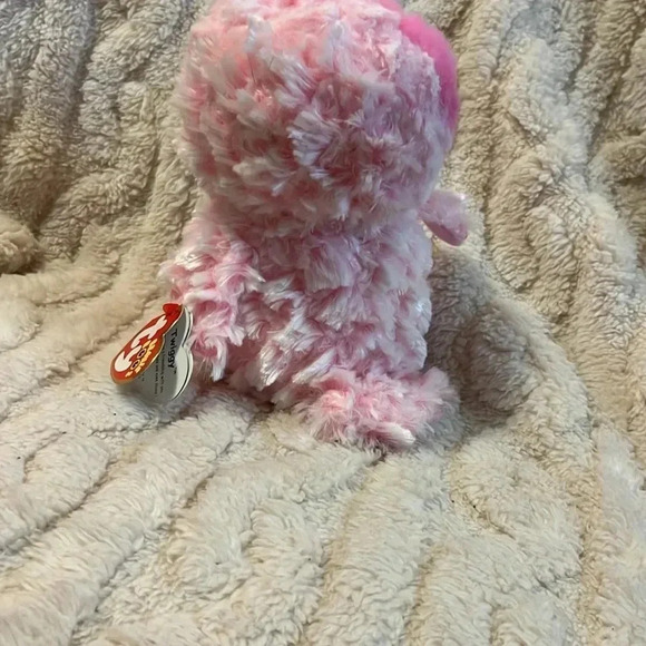 Ty Beanie Boo Owl - Picture 5 of 5